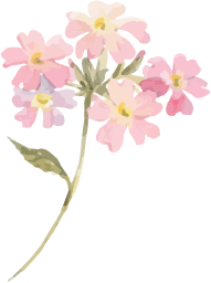 水彩イラストピンクの花