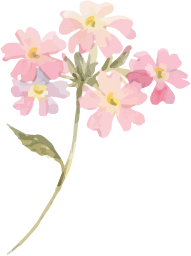 水彩イラストピンクの花