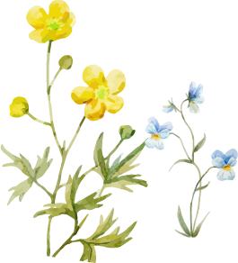 水彩イラスト黄色と水色の花